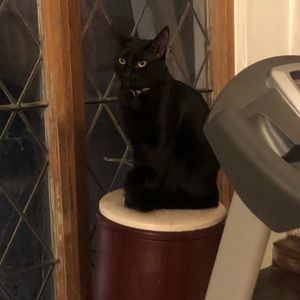 Meet your Posher, Alexander